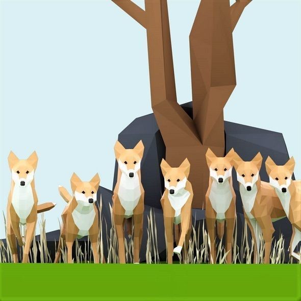 Dingoes orange dog Low-poly 3D model_1