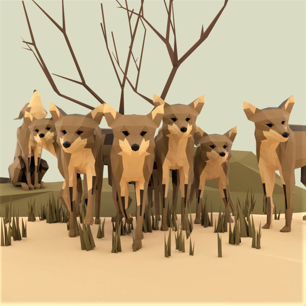 Coyote polygonal wolf Low-poly 3D model_1