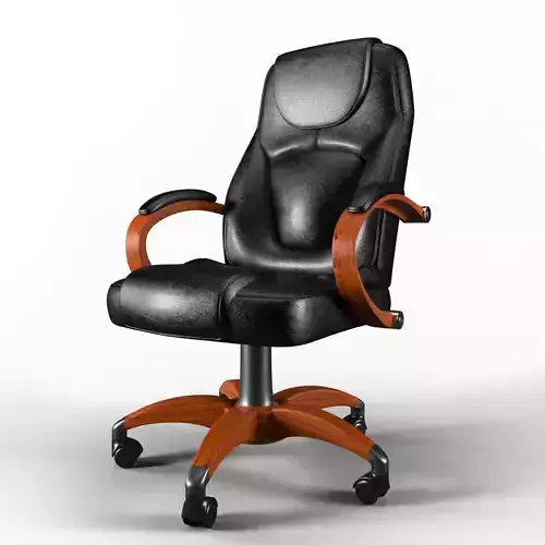 Office chair No 2 - Z-Line Executive Chair