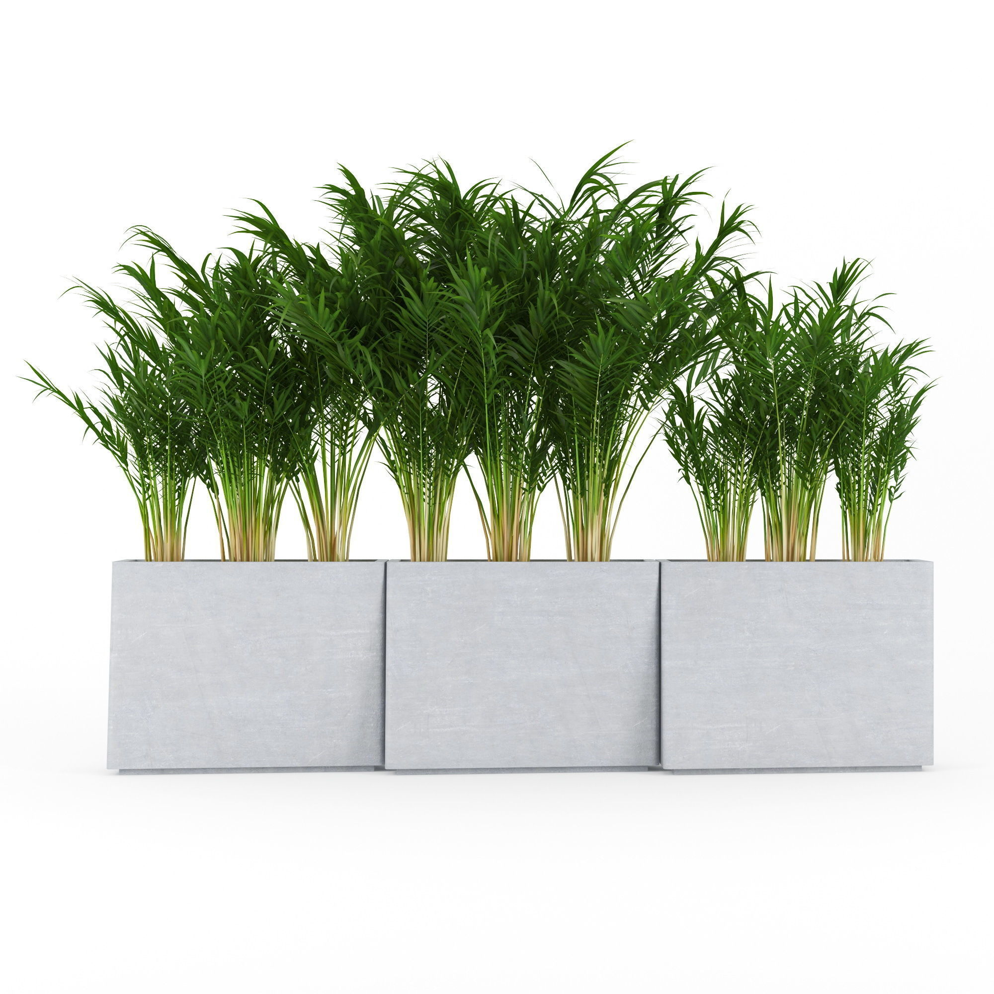 Twista Contemporary Modern Outdoor Planter Pot Areca 3D