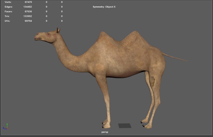 camel Low-poly 3D model_7