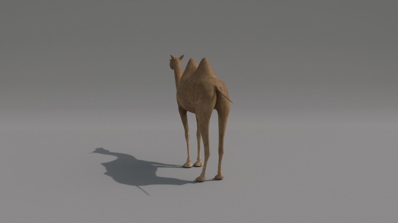 camel Low-poly 3D model_4