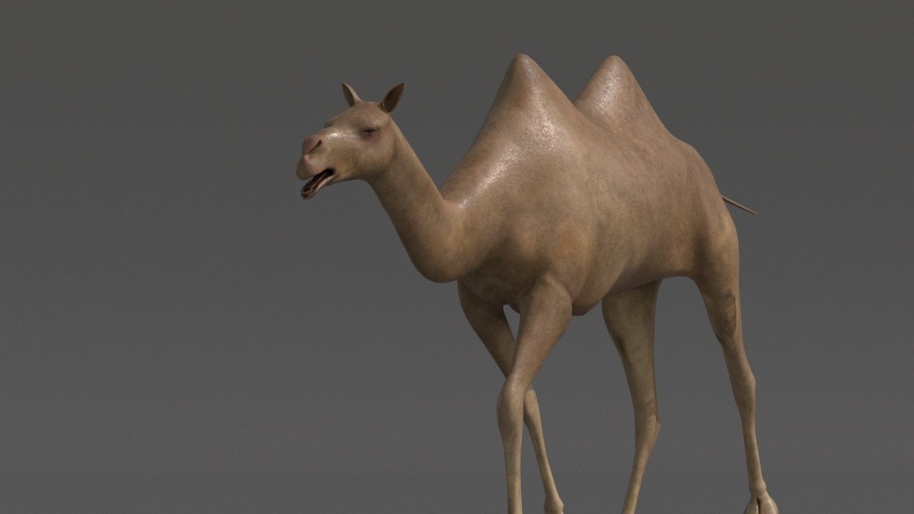 camel Low-poly 3D model_2