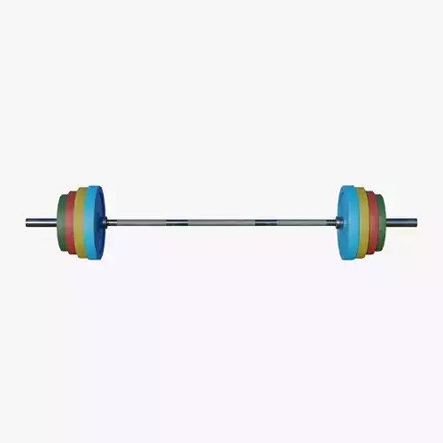 Gym Barbell and Weight Plates - Low Poly