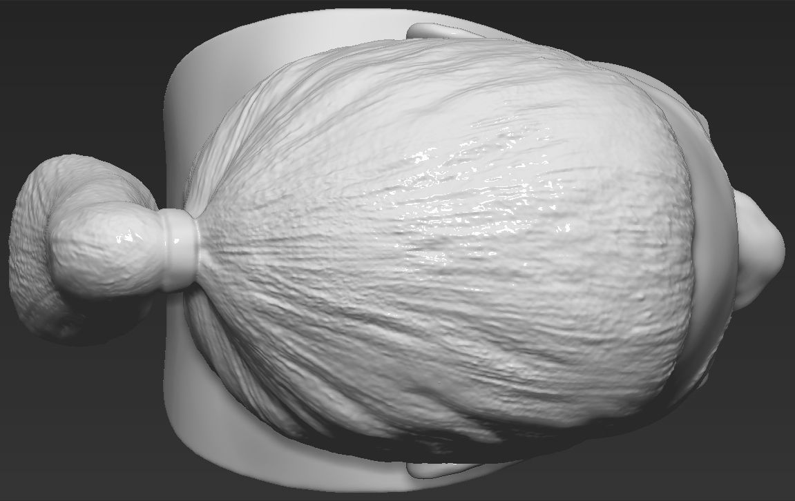 Oprah Winfrey bust ready for full color 3D printing 3D print model_44