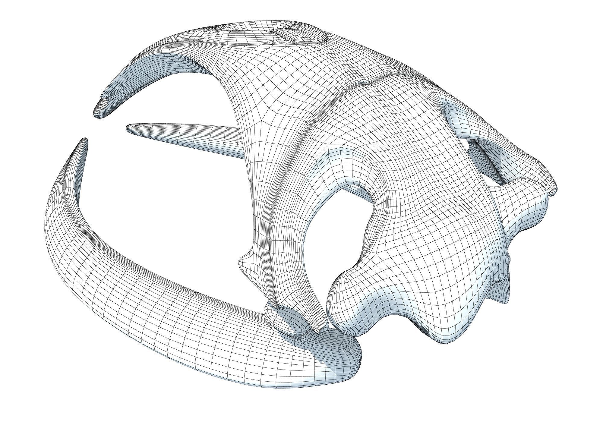 Right Whale Skull 3D model_10