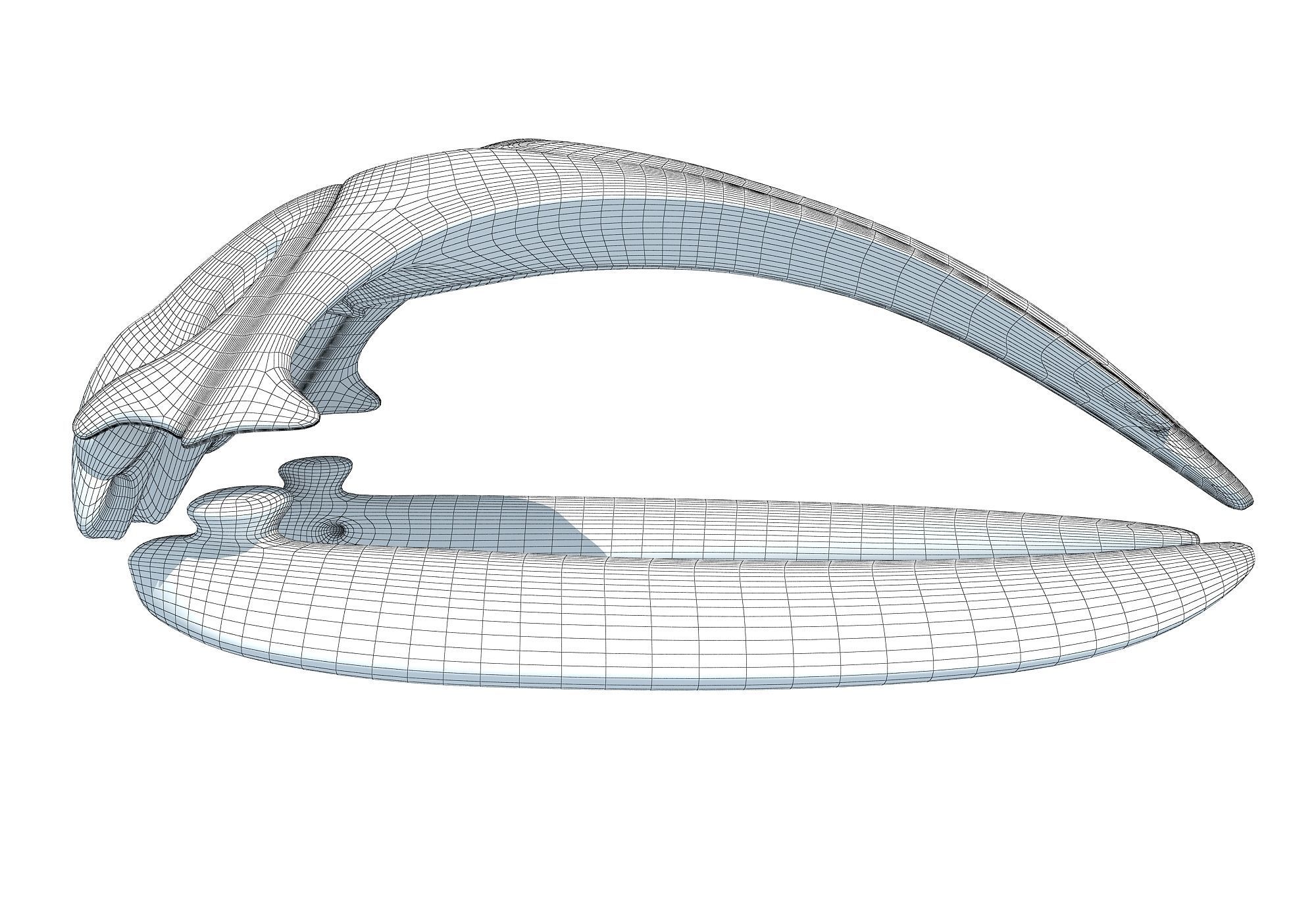 Right Whale Skull 3D model_8