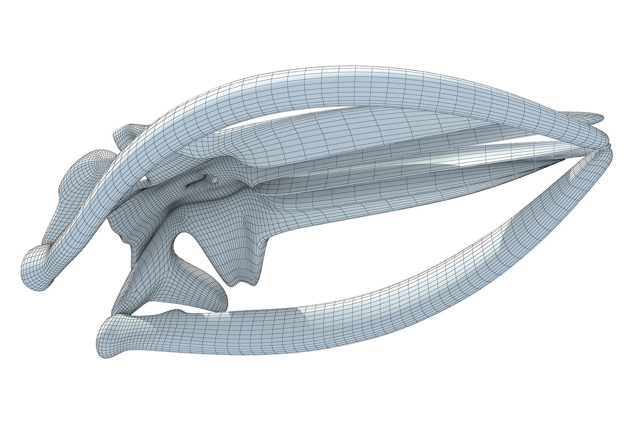 Fin Whale Skull 3D model_11