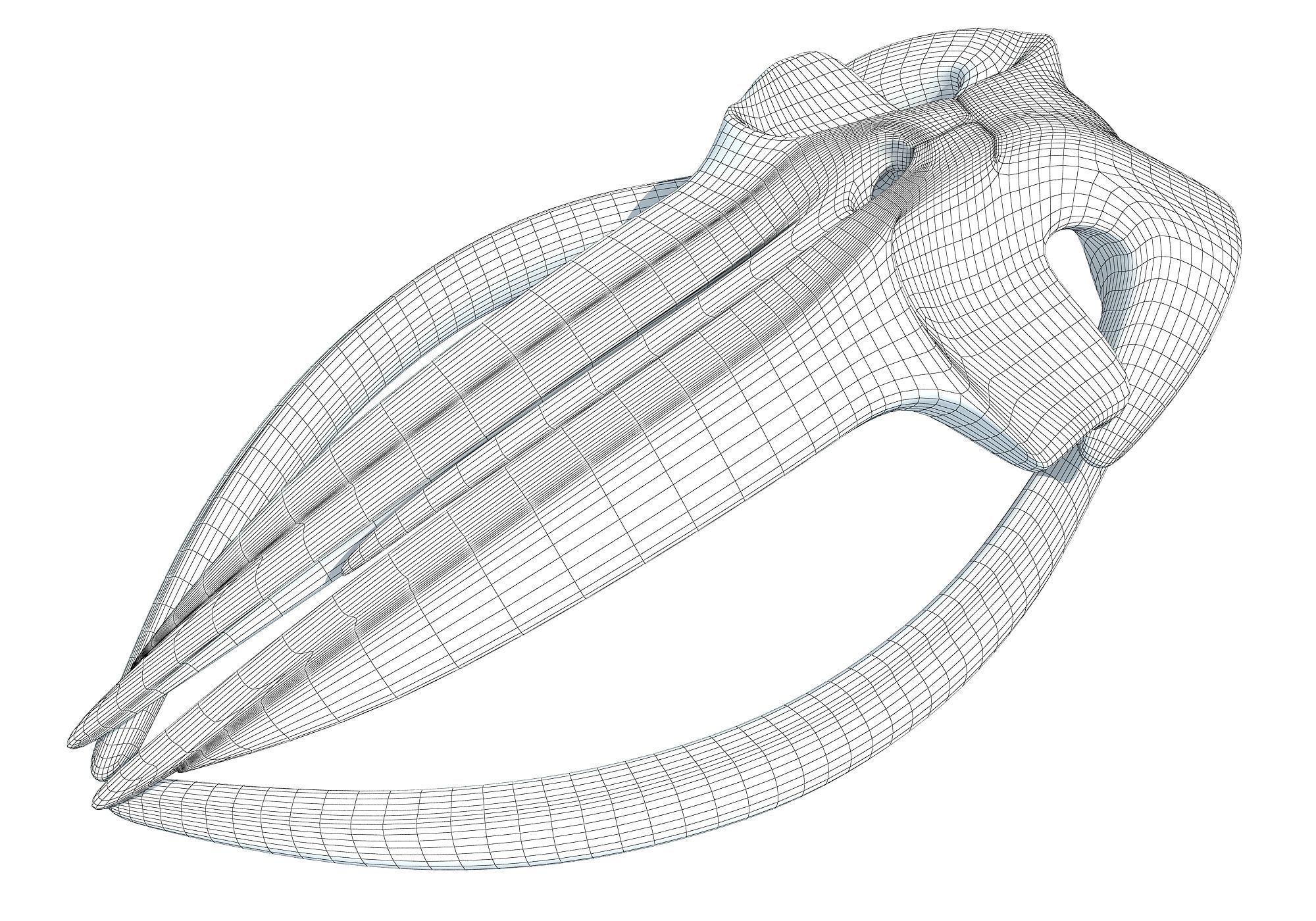 Fin Whale Skull 3D model_9