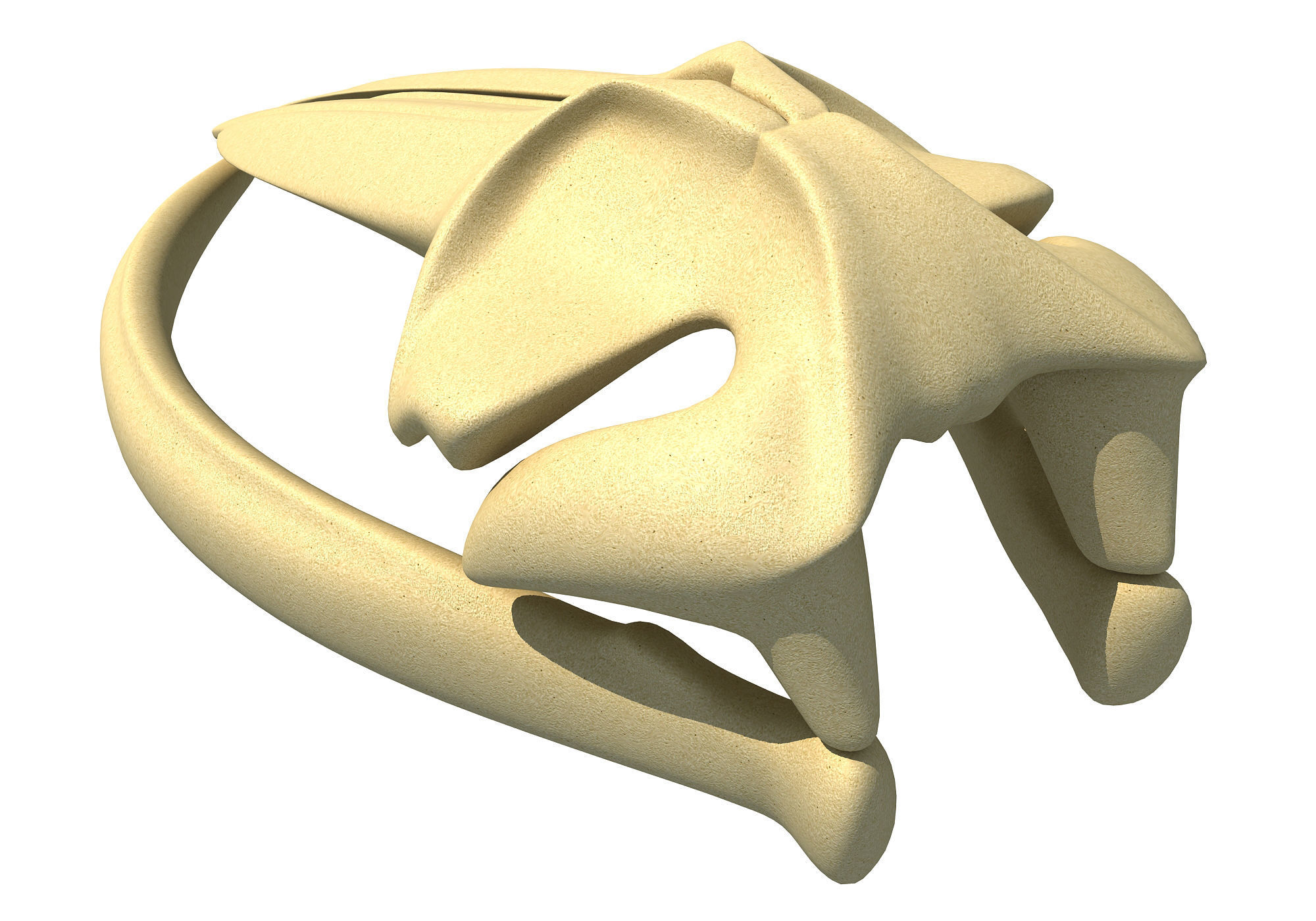 Fin Whale Skull 3D model_5