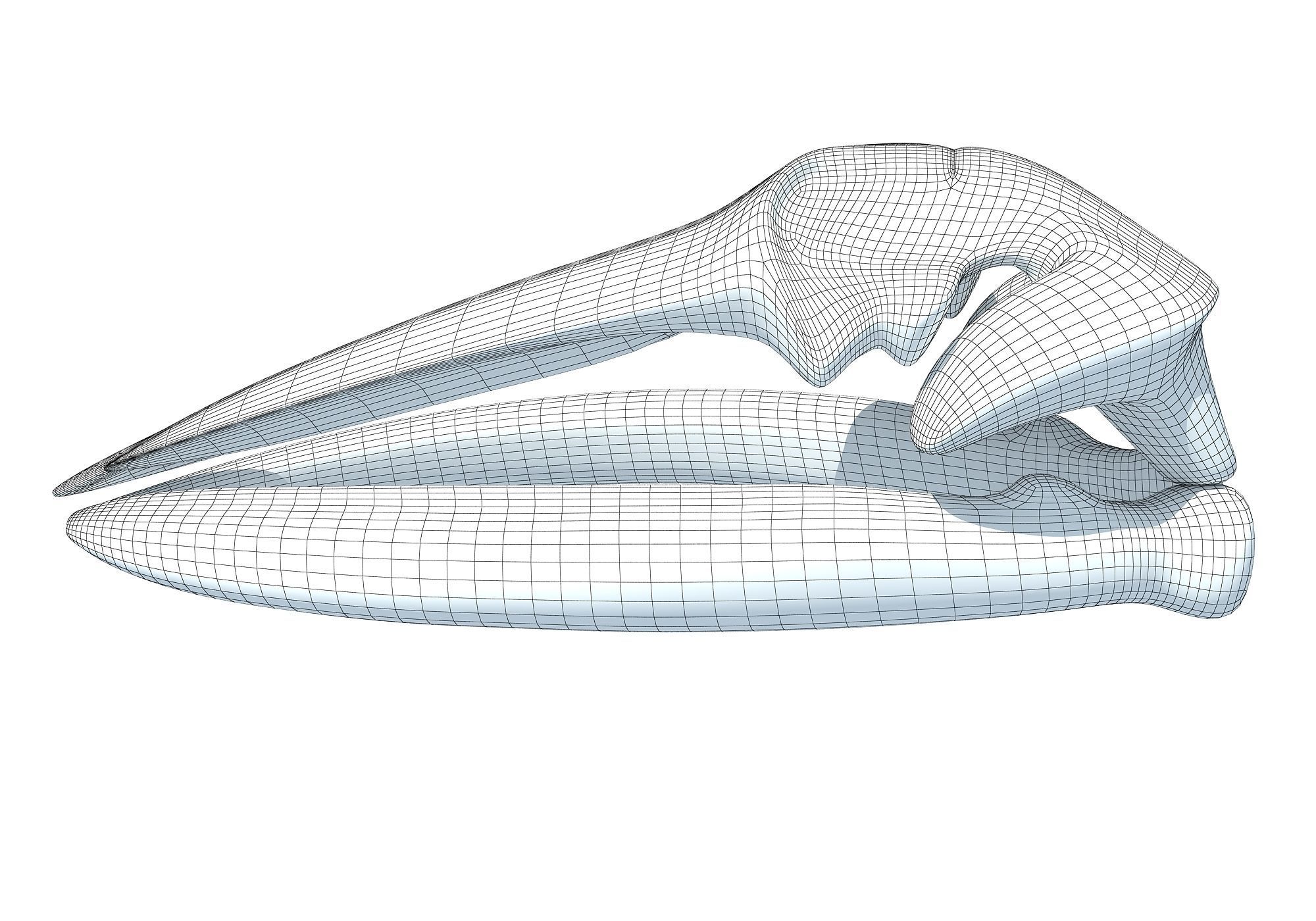 Fin Whale Skull 3D model_7