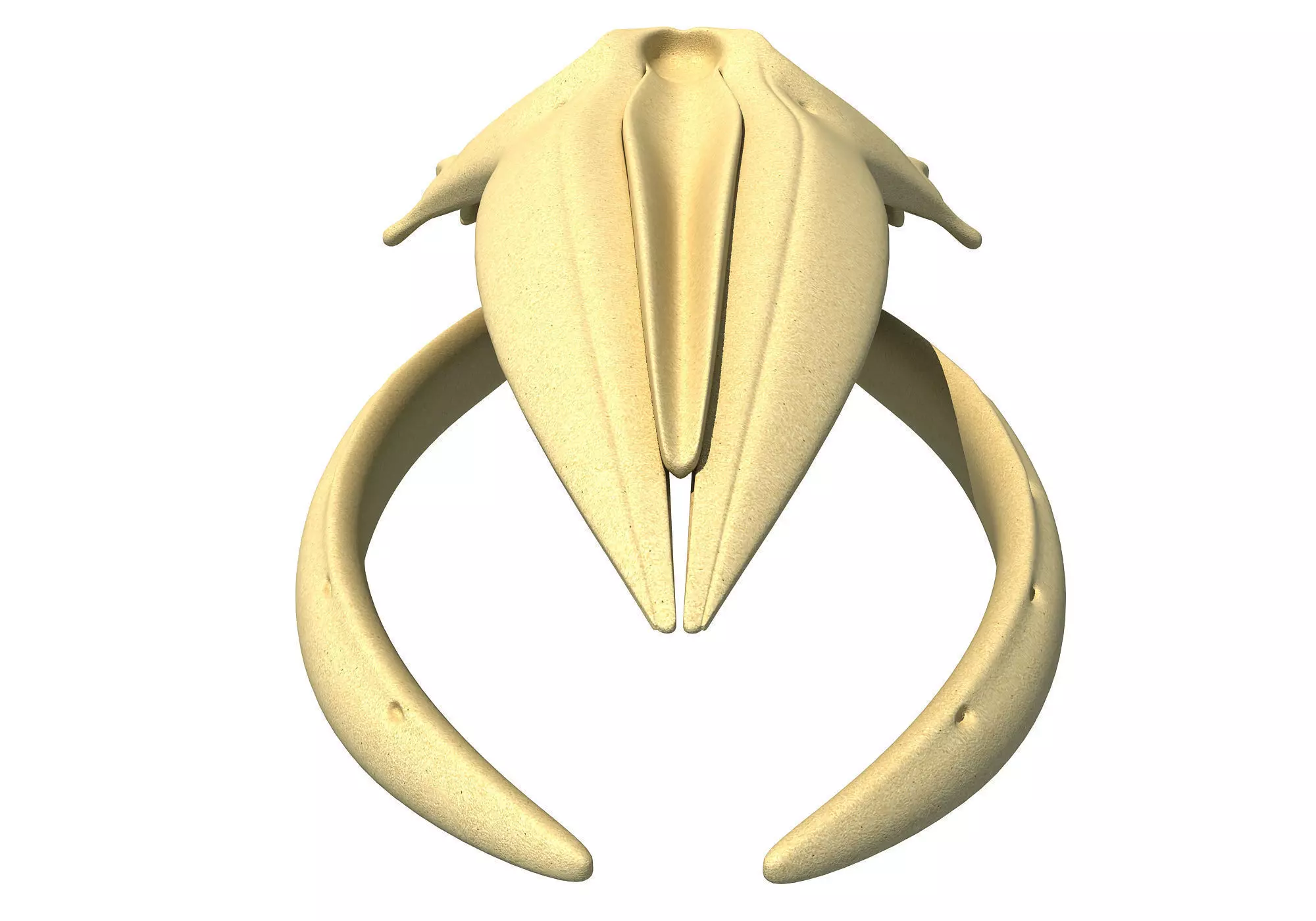 Humpback Whale Skull 3D model