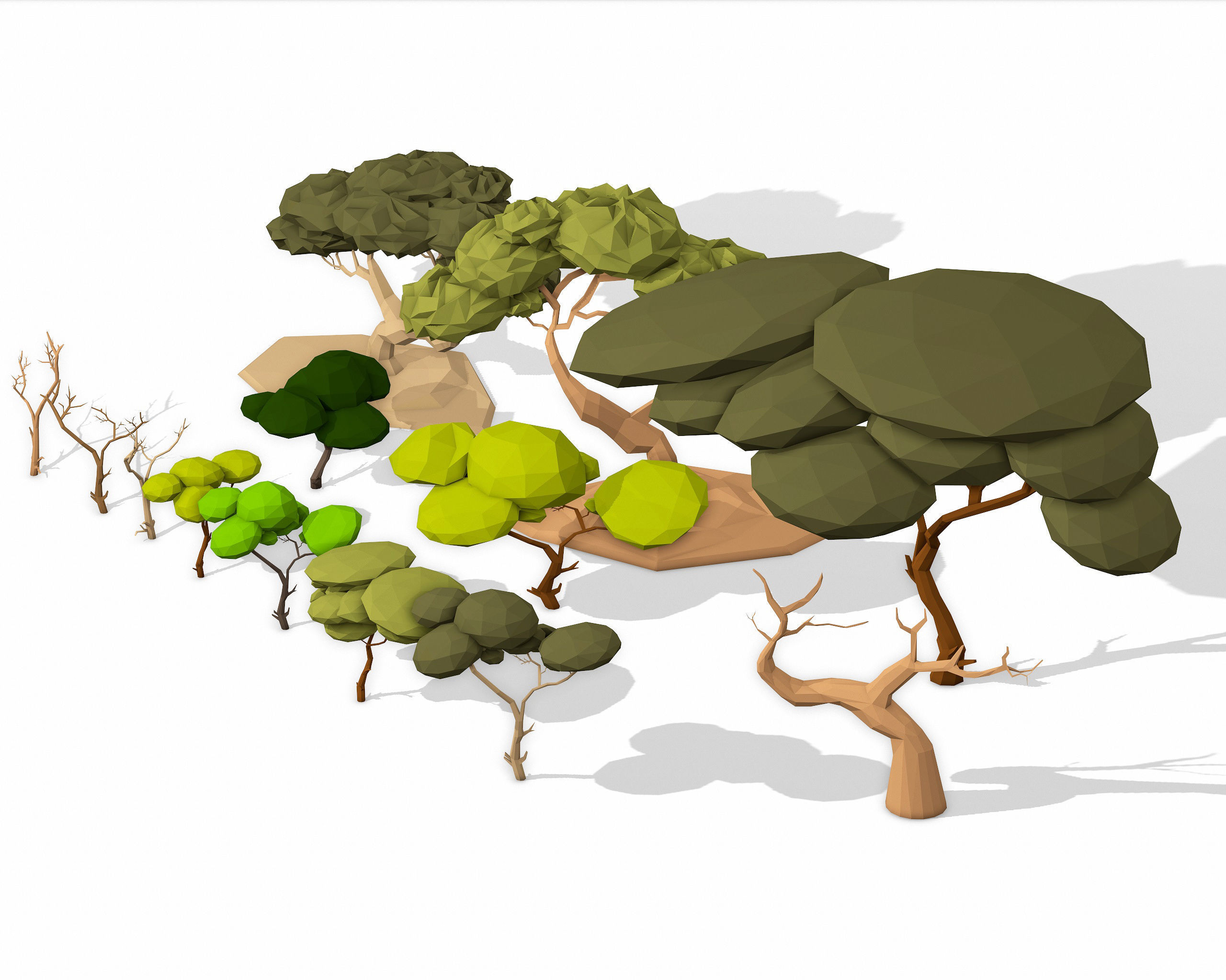 LOW POLY African Tree Pack Low-poly 3D model_28