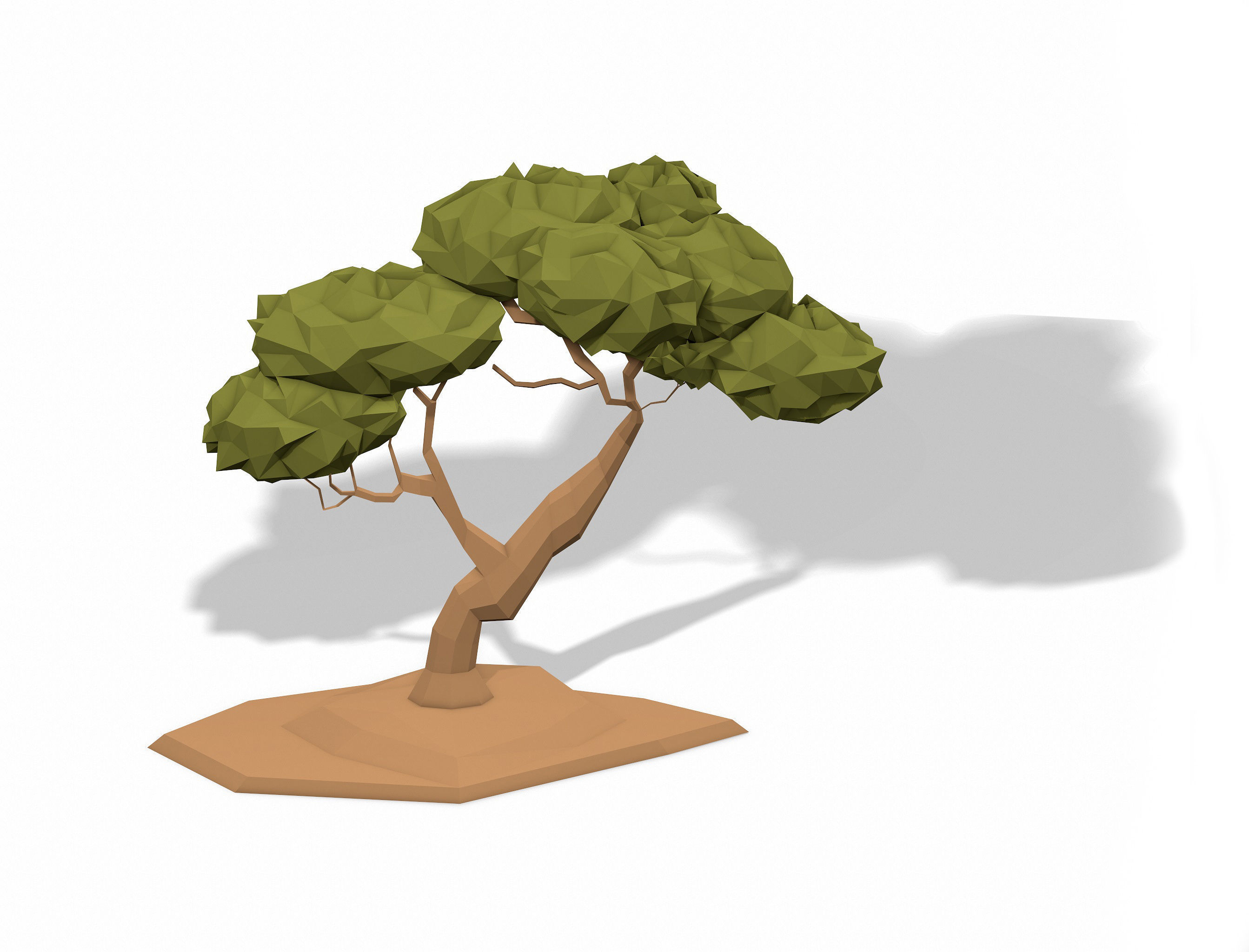 LOW POLY African Tree Pack Low-poly 3D model_24