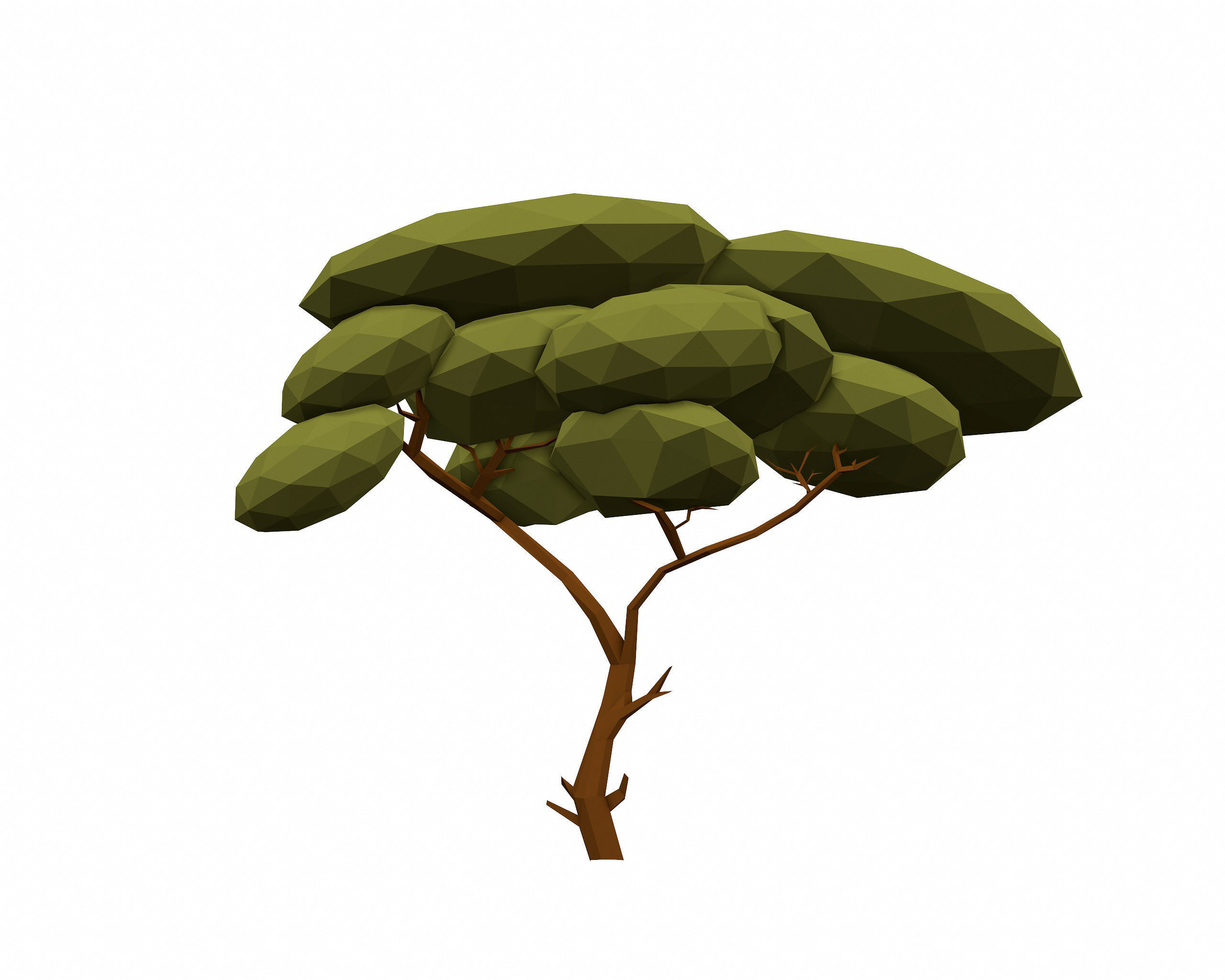 LOW POLY African Tree Pack Low-poly 3D model_11