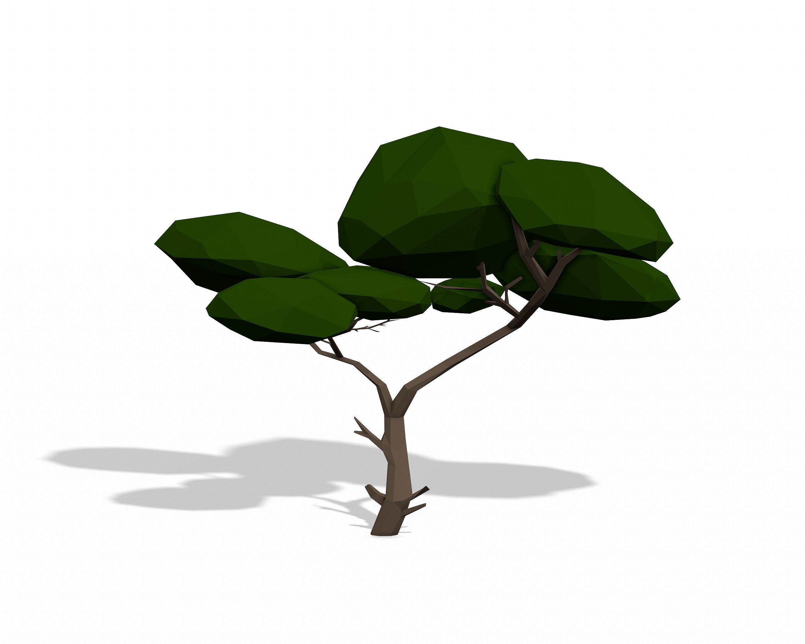 LOW POLY African Tree Pack Low-poly 3D model_17