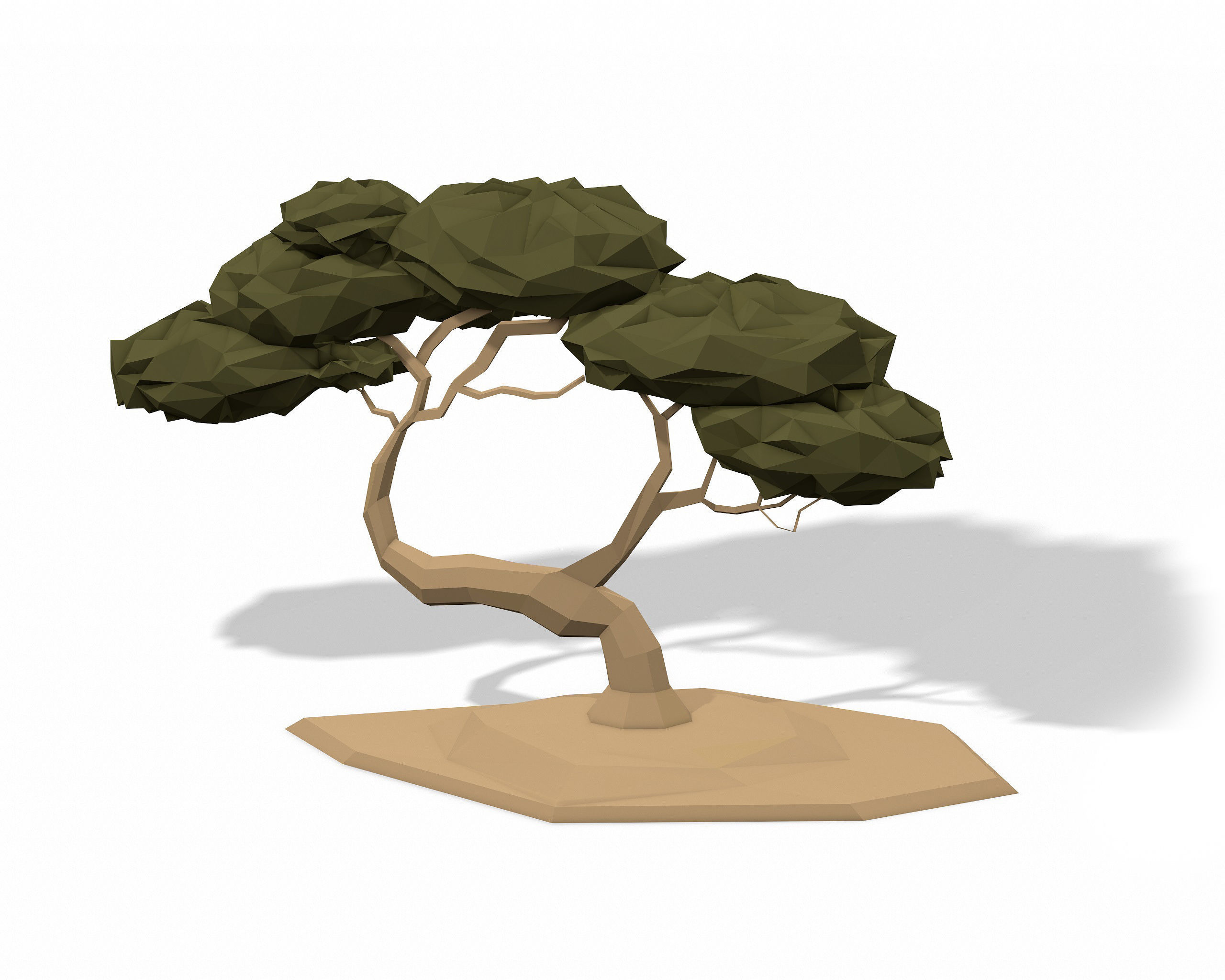 LOW POLY African Tree Pack Low-poly 3D model_21