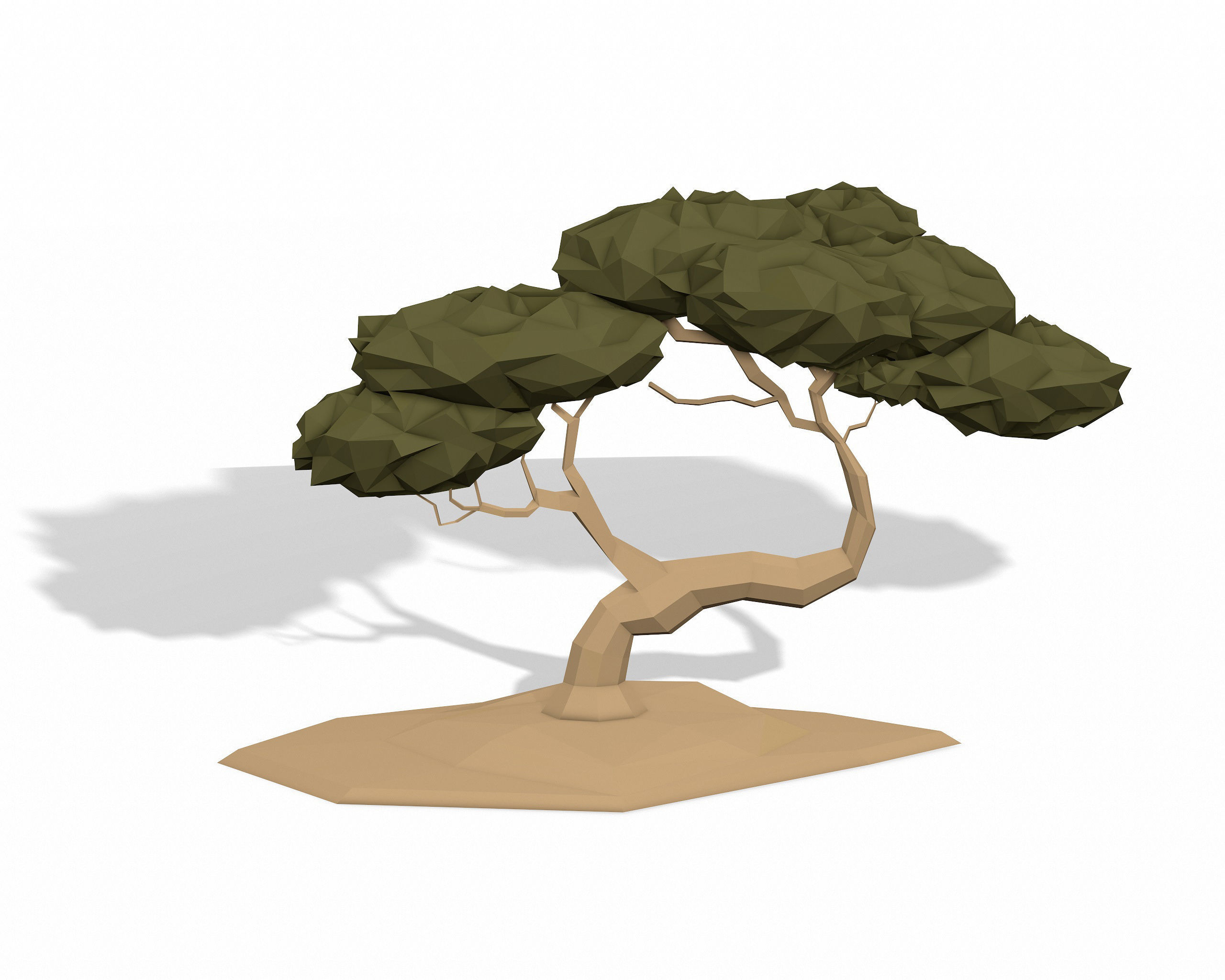 LOW POLY African Tree Pack Low-poly 3D model_19