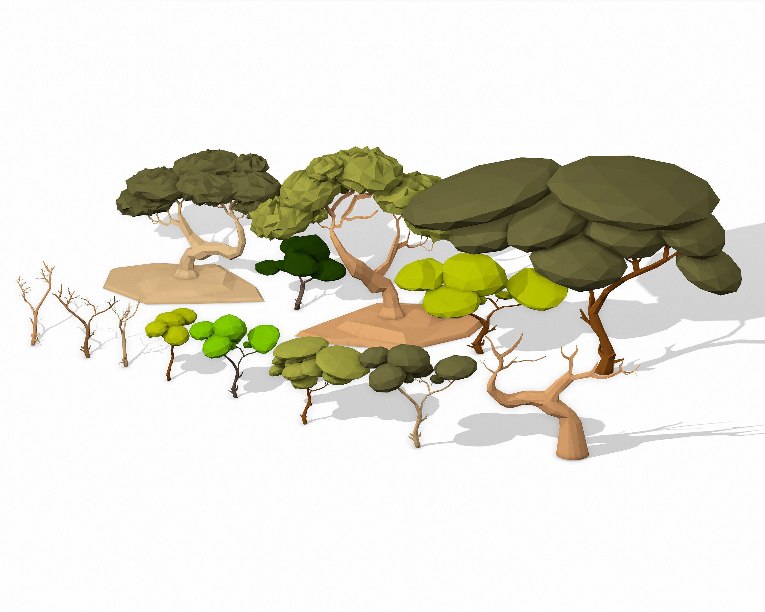 LOW POLY African Tree Pack Low-poly 3D model_26