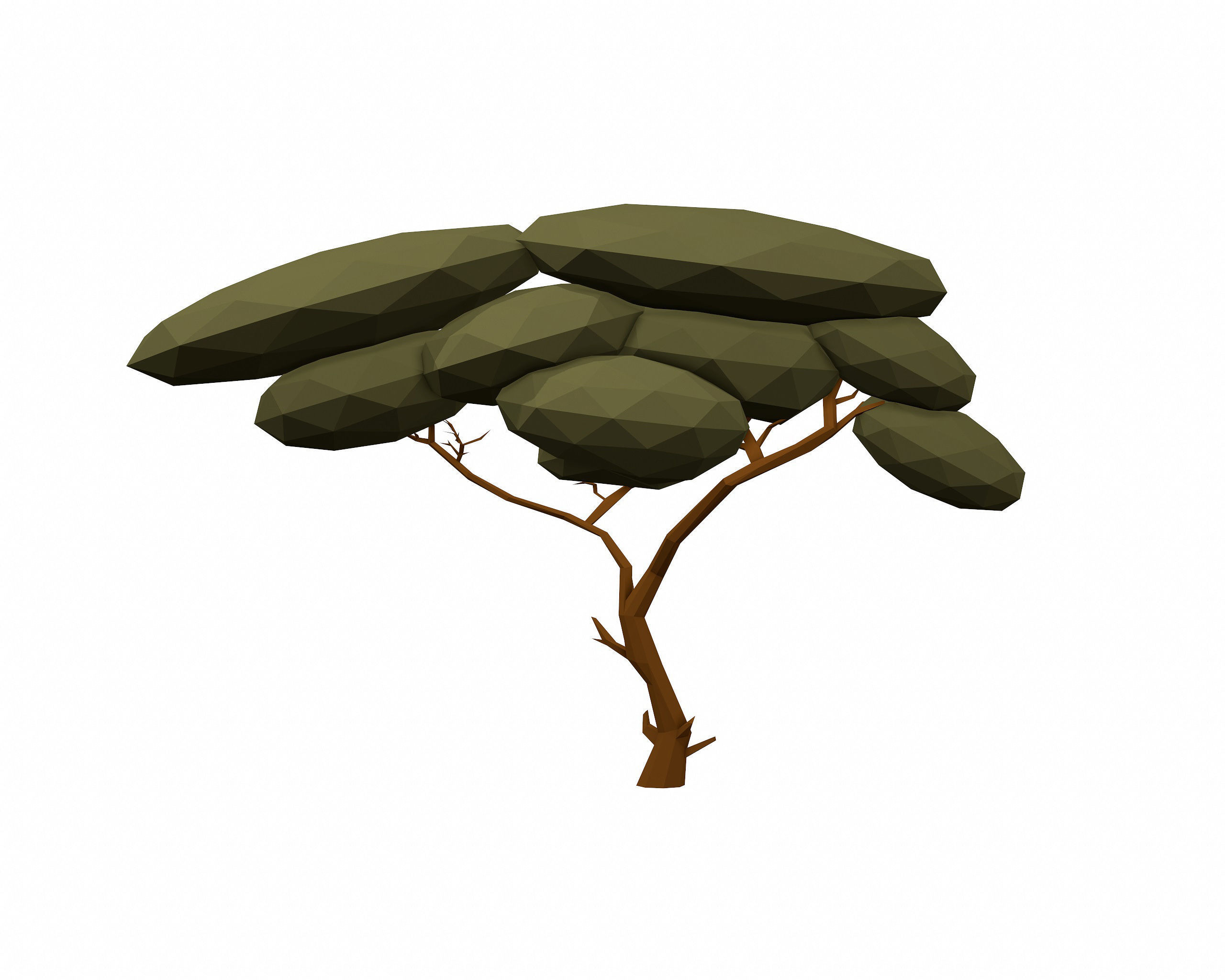 LOW POLY African Tree Pack Low-poly 3D model_23