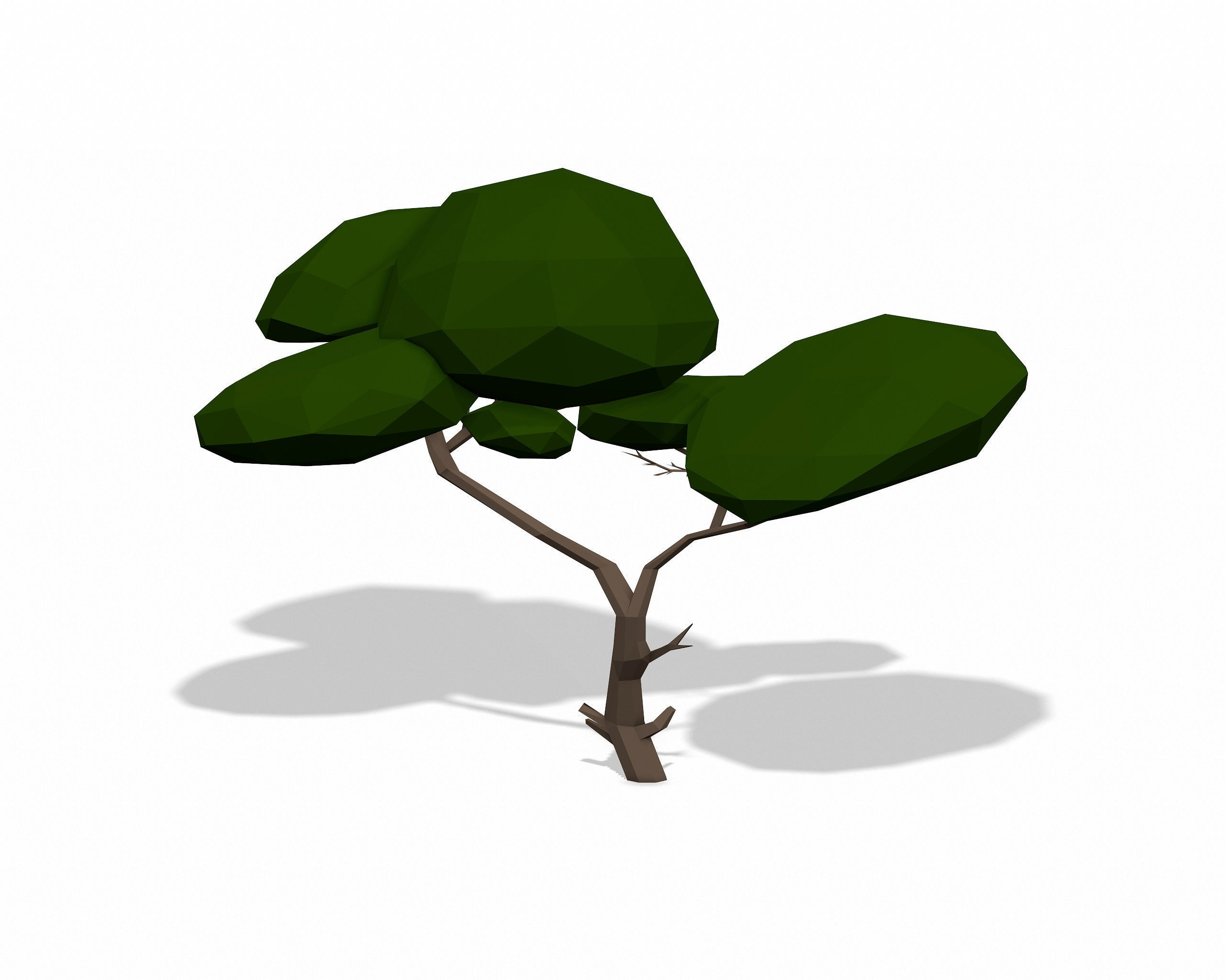 LOW POLY African Tree Pack Low-poly 3D model_16
