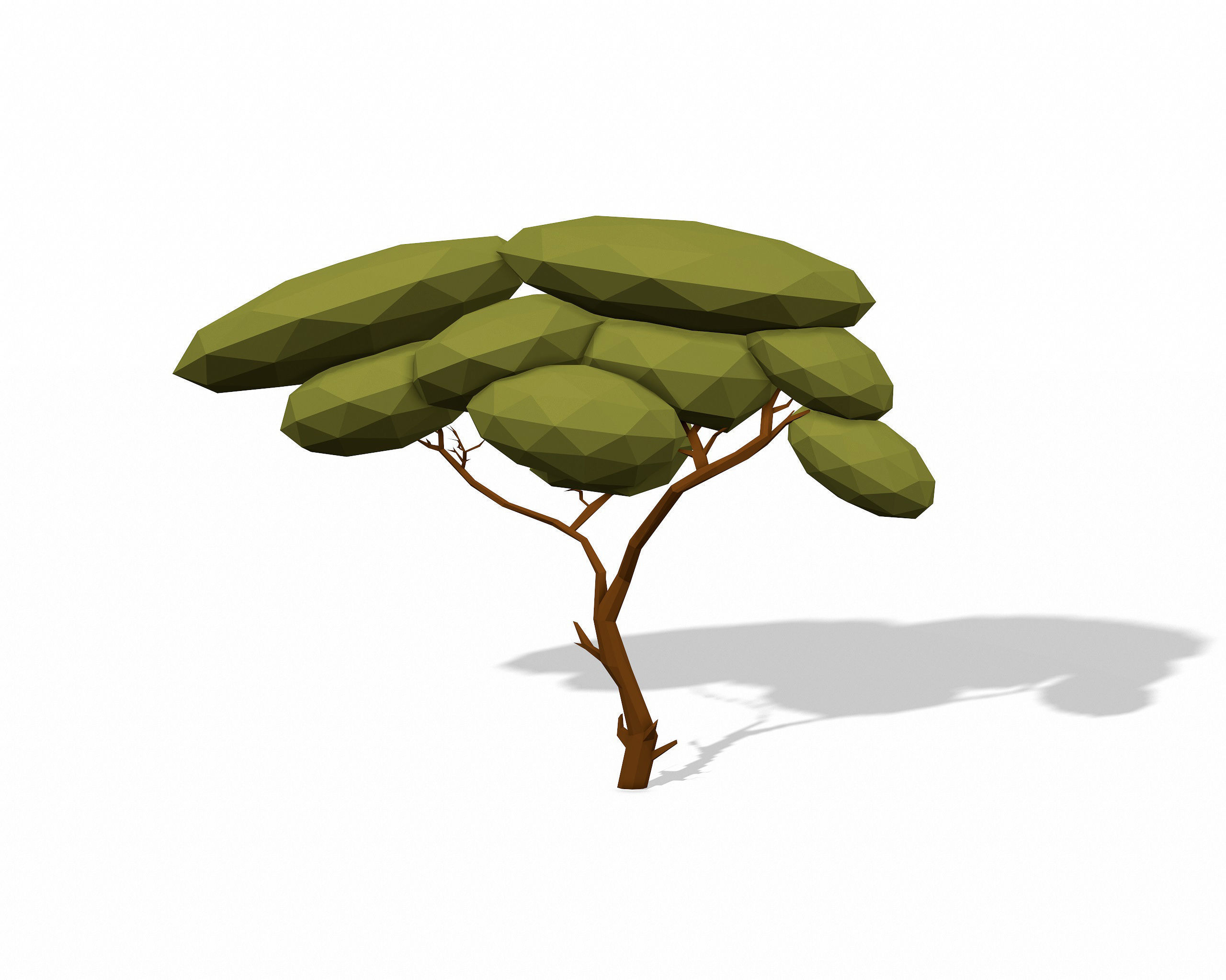 LOW POLY African Tree Pack Low-poly 3D model_12