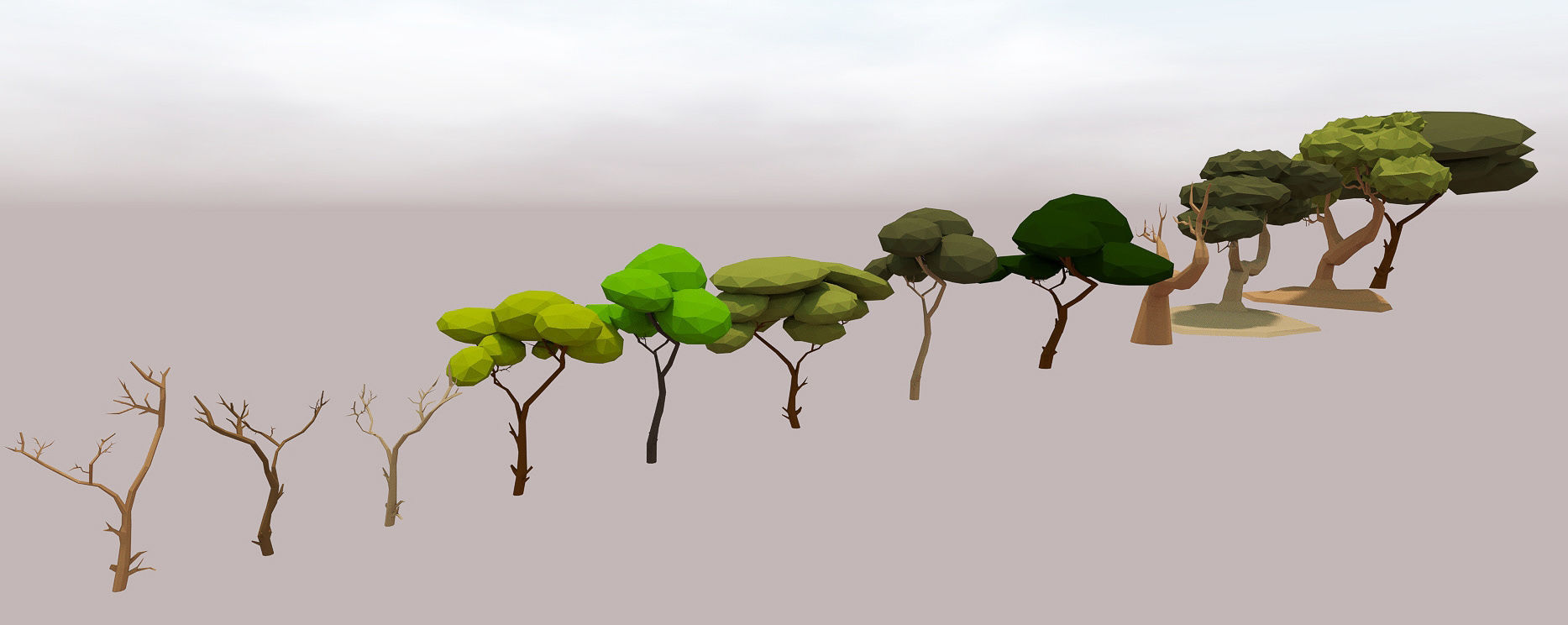 LOW POLY African Tree Pack Low-poly 3D model_41