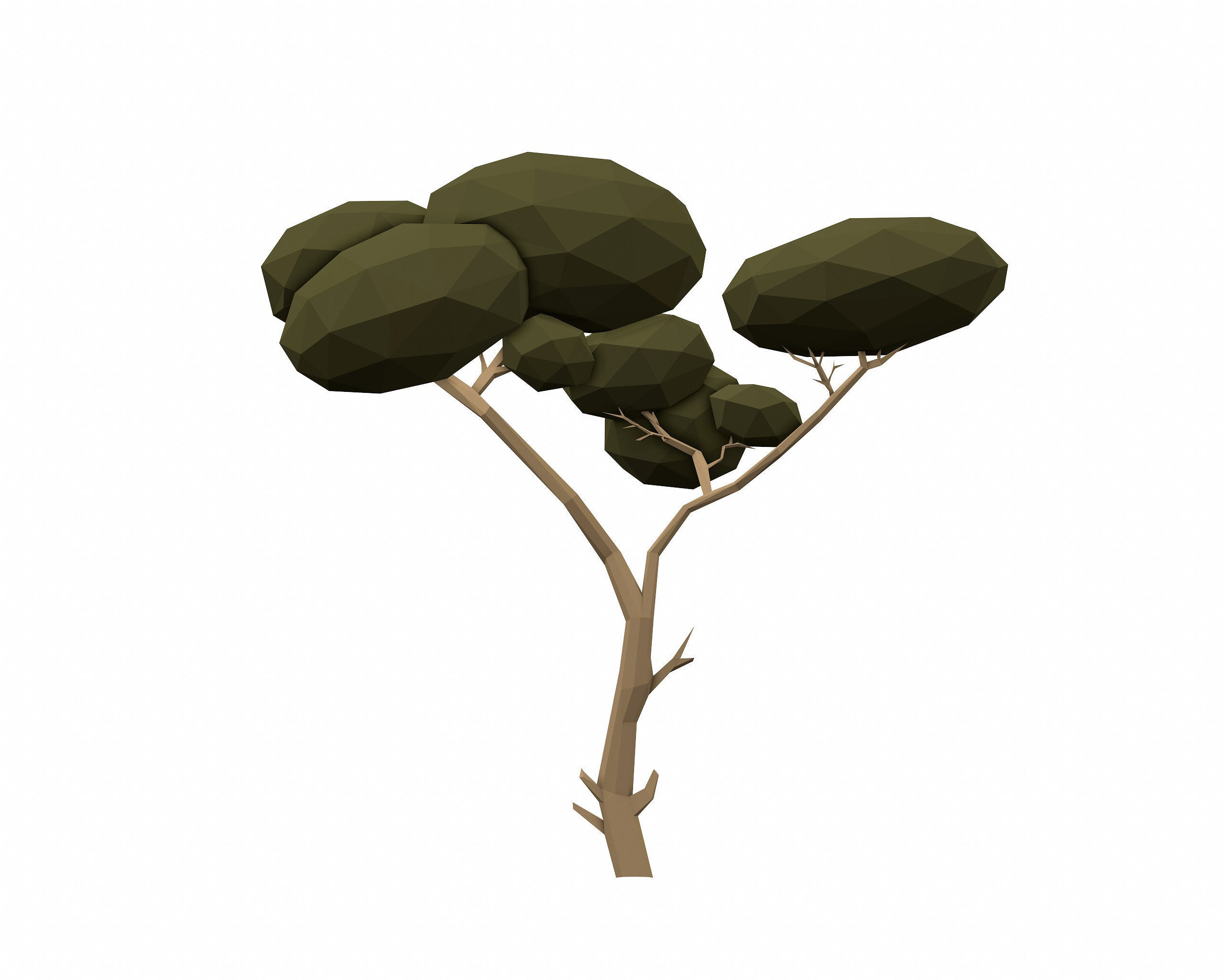 LOW POLY African Tree Pack Low-poly 3D model_13
