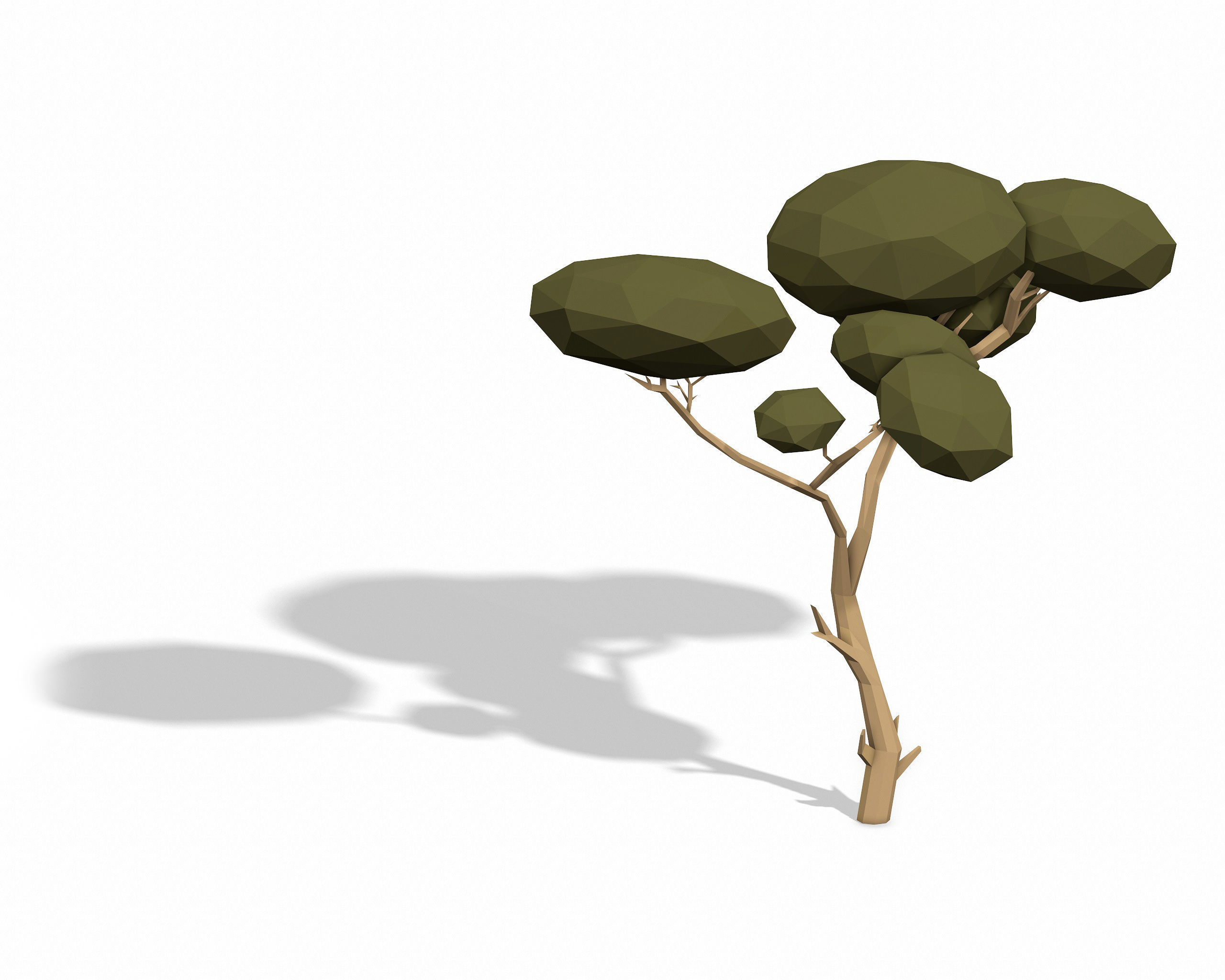 LOW POLY African Tree Pack Low-poly 3D model_14