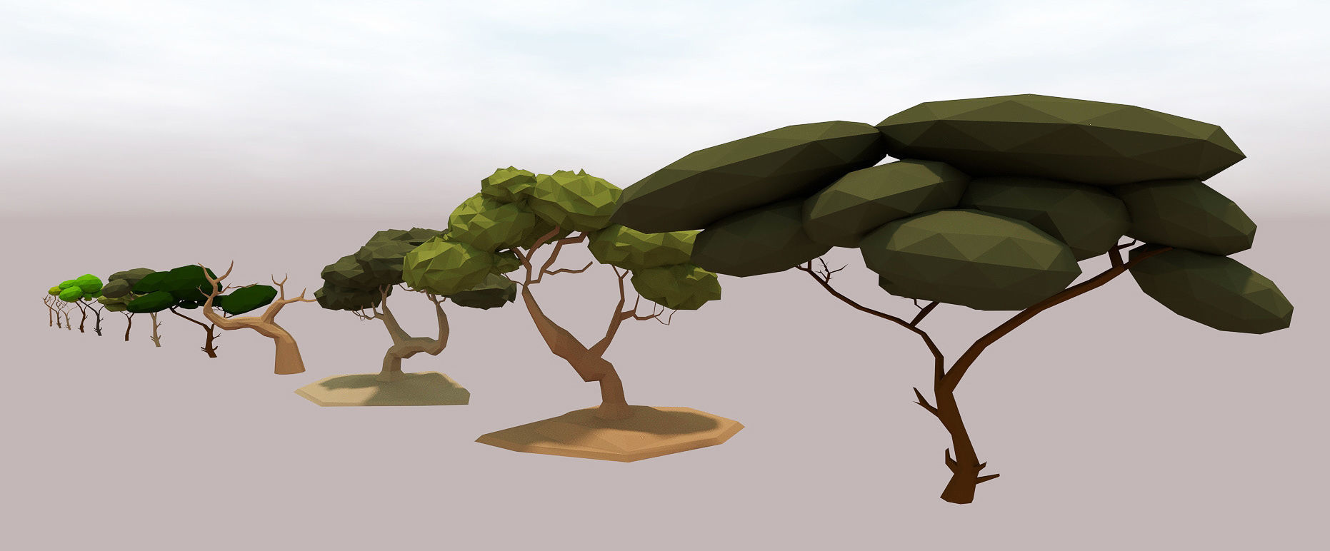 LOW POLY African Tree Pack Low-poly 3D model_39