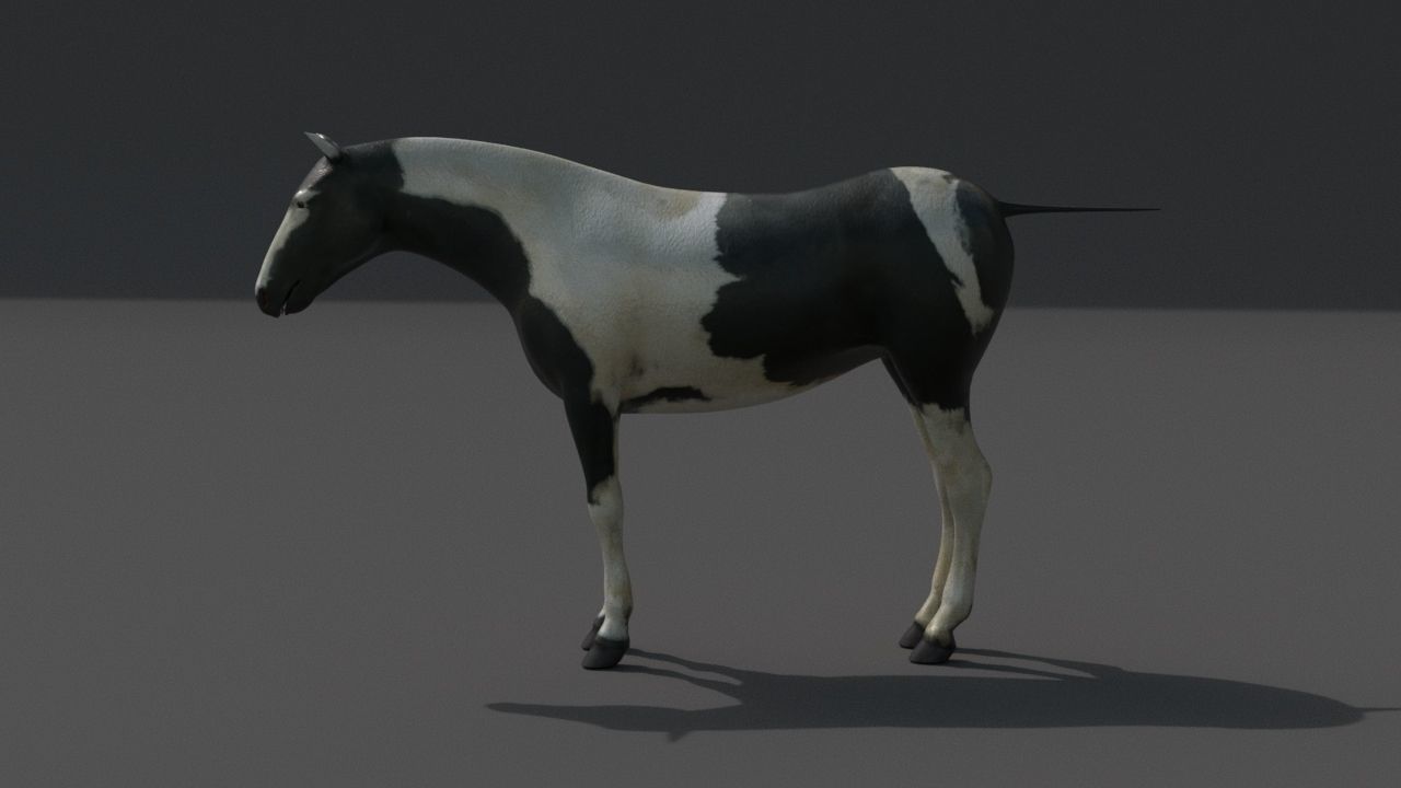 horse Low-poly 3D model_4