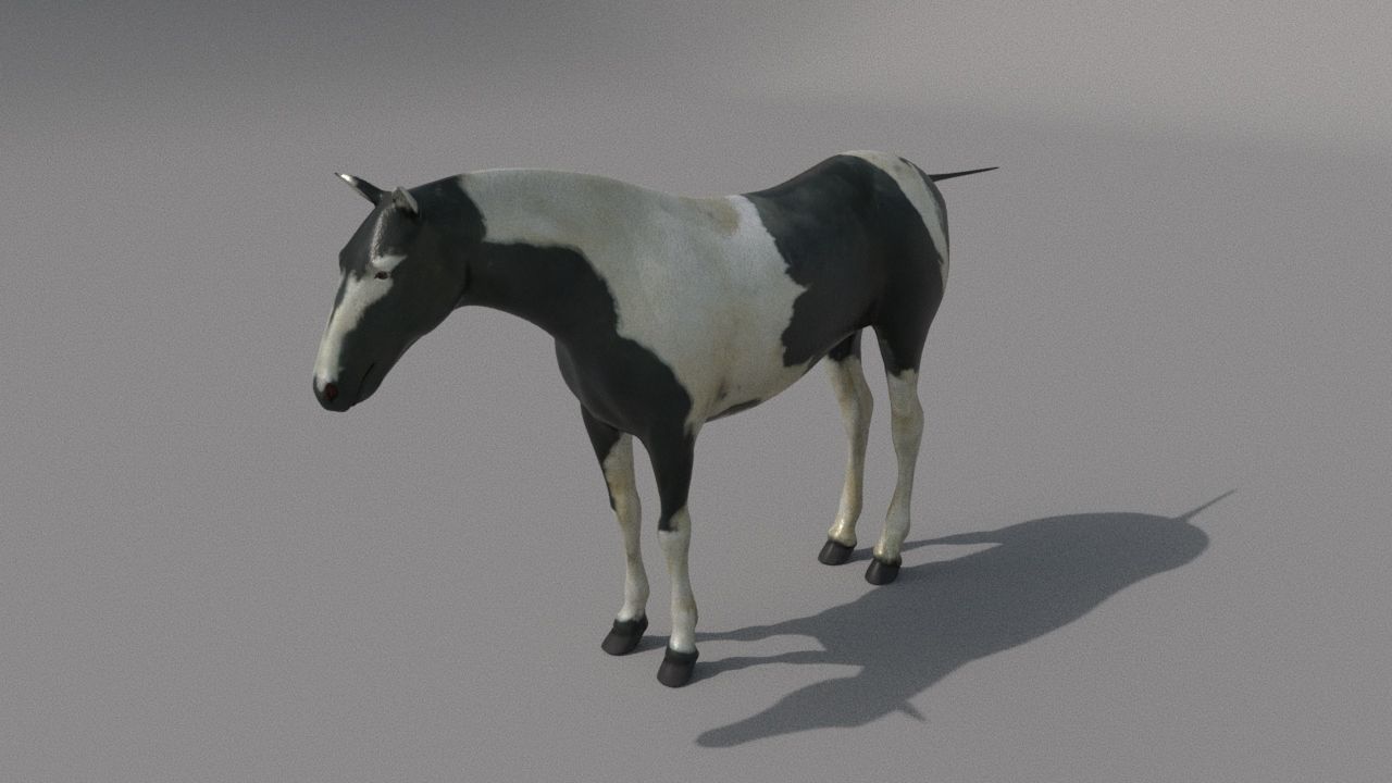 horse Low-poly 3D model_3