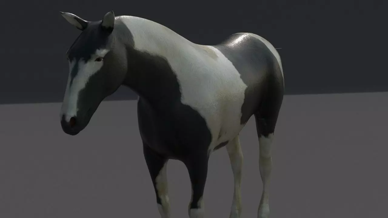horse Low-poly 3D model_0