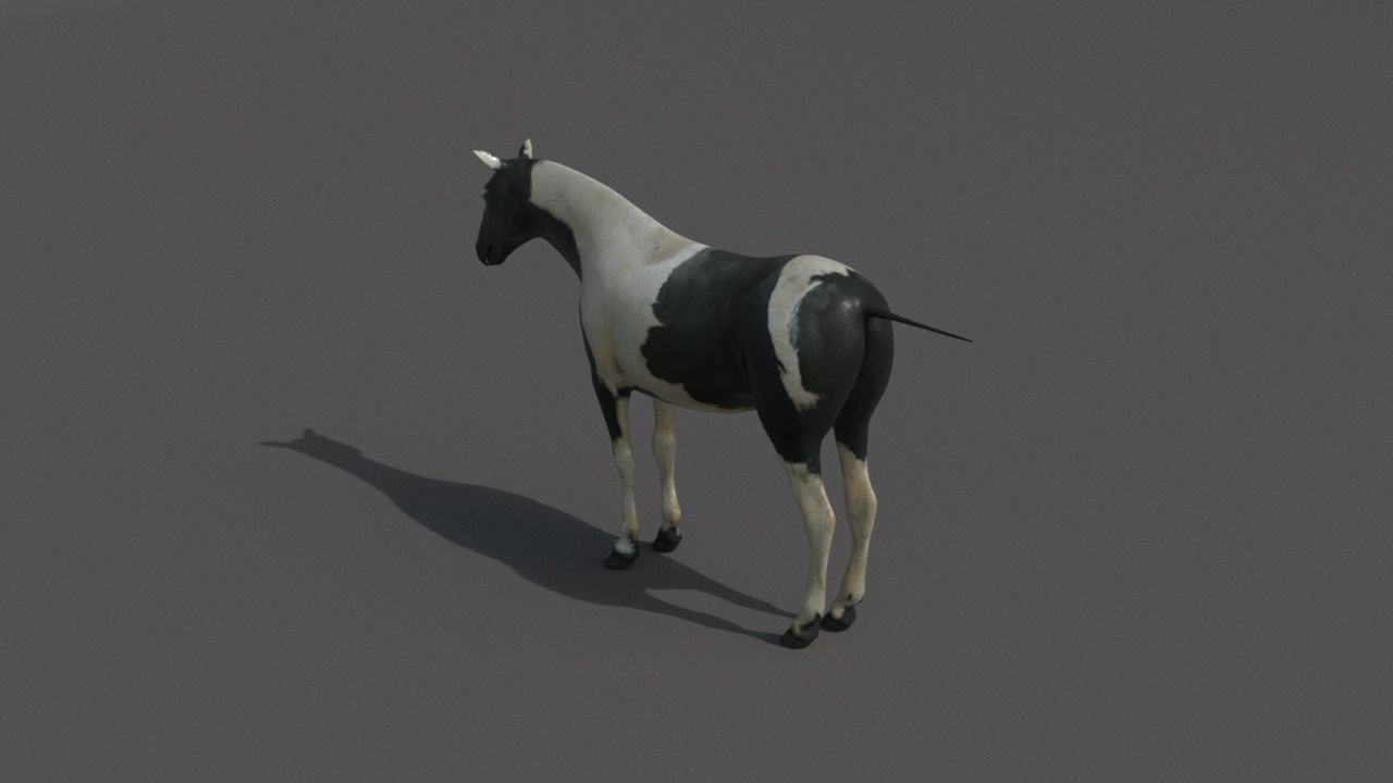 horse Low-poly 3D model_5