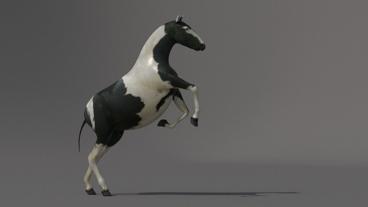 horse Low-poly 3D model_1