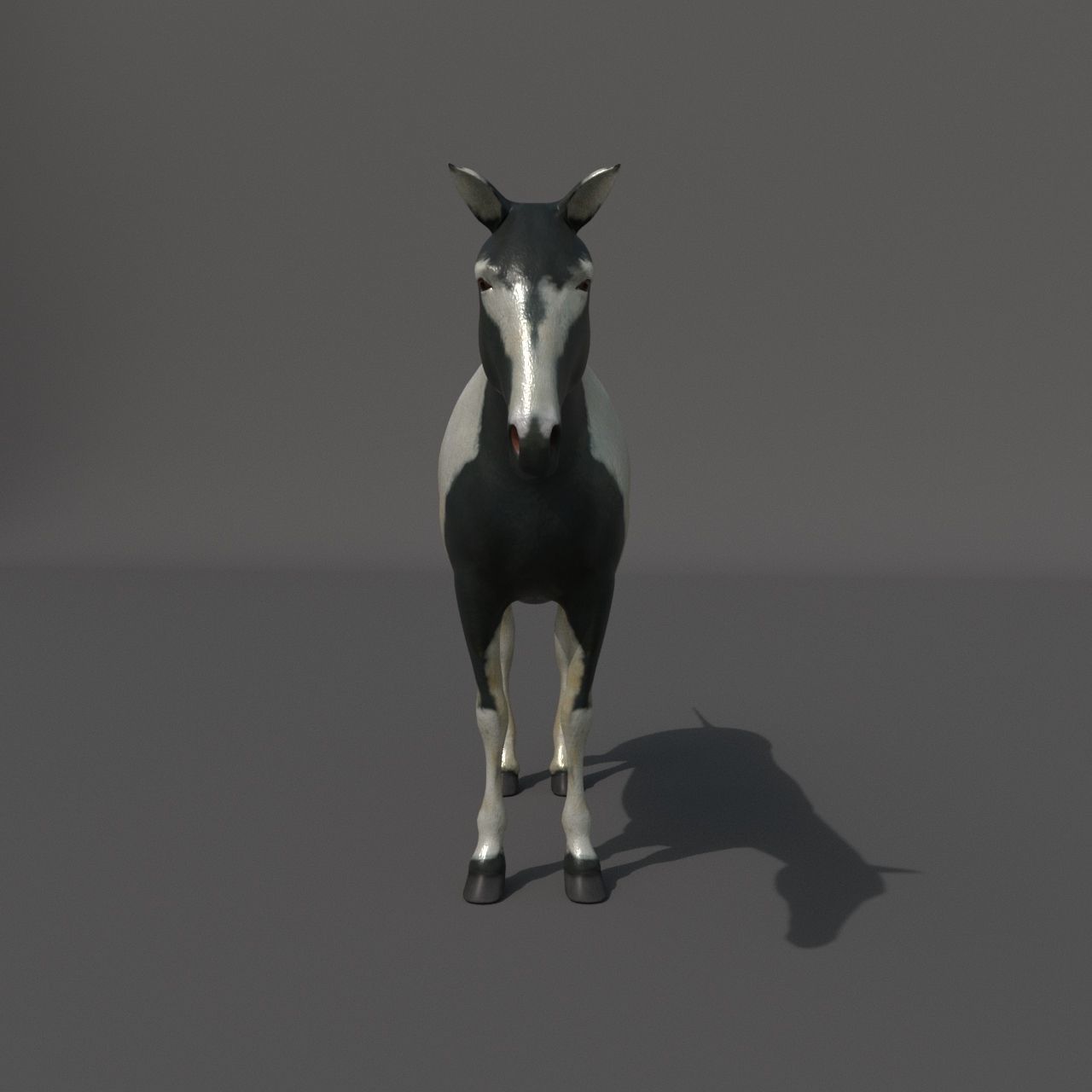 horse Low-poly 3D model_7