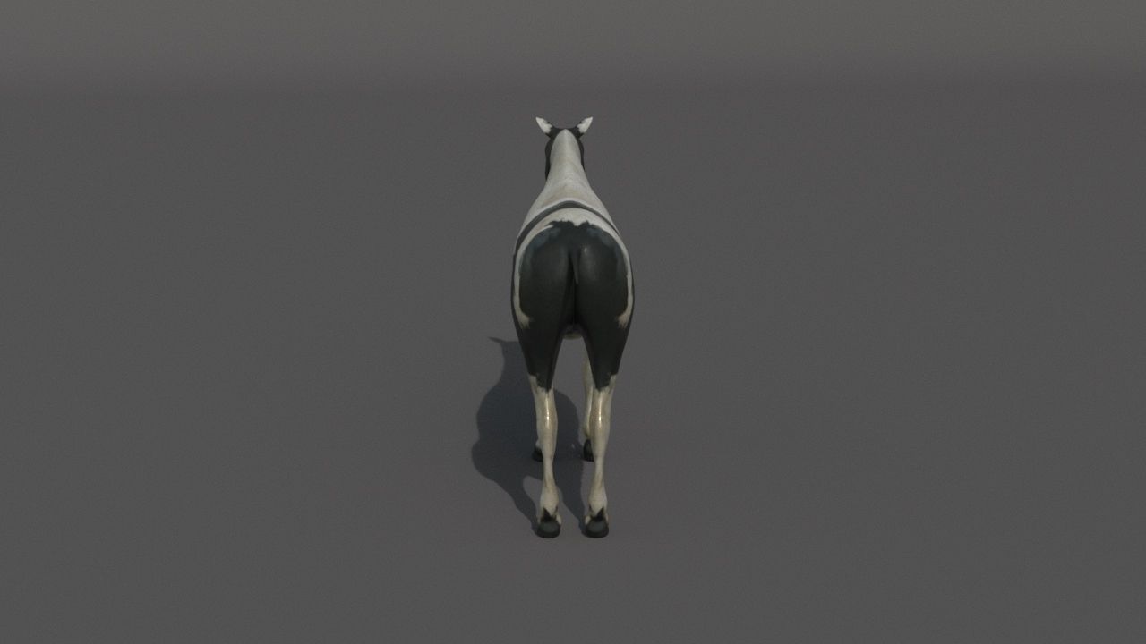 horse Low-poly 3D model_8
