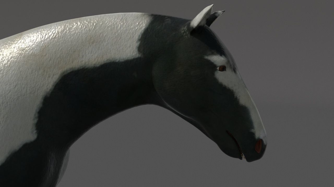 horse Low-poly 3D model_10