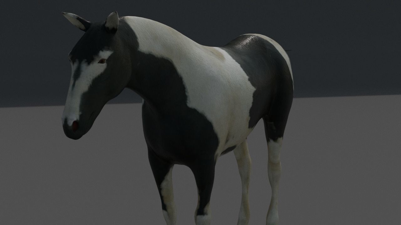 horse Low-poly 3D model_9