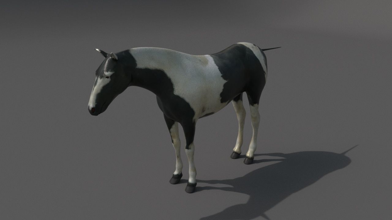 horse Low-poly 3D model_6