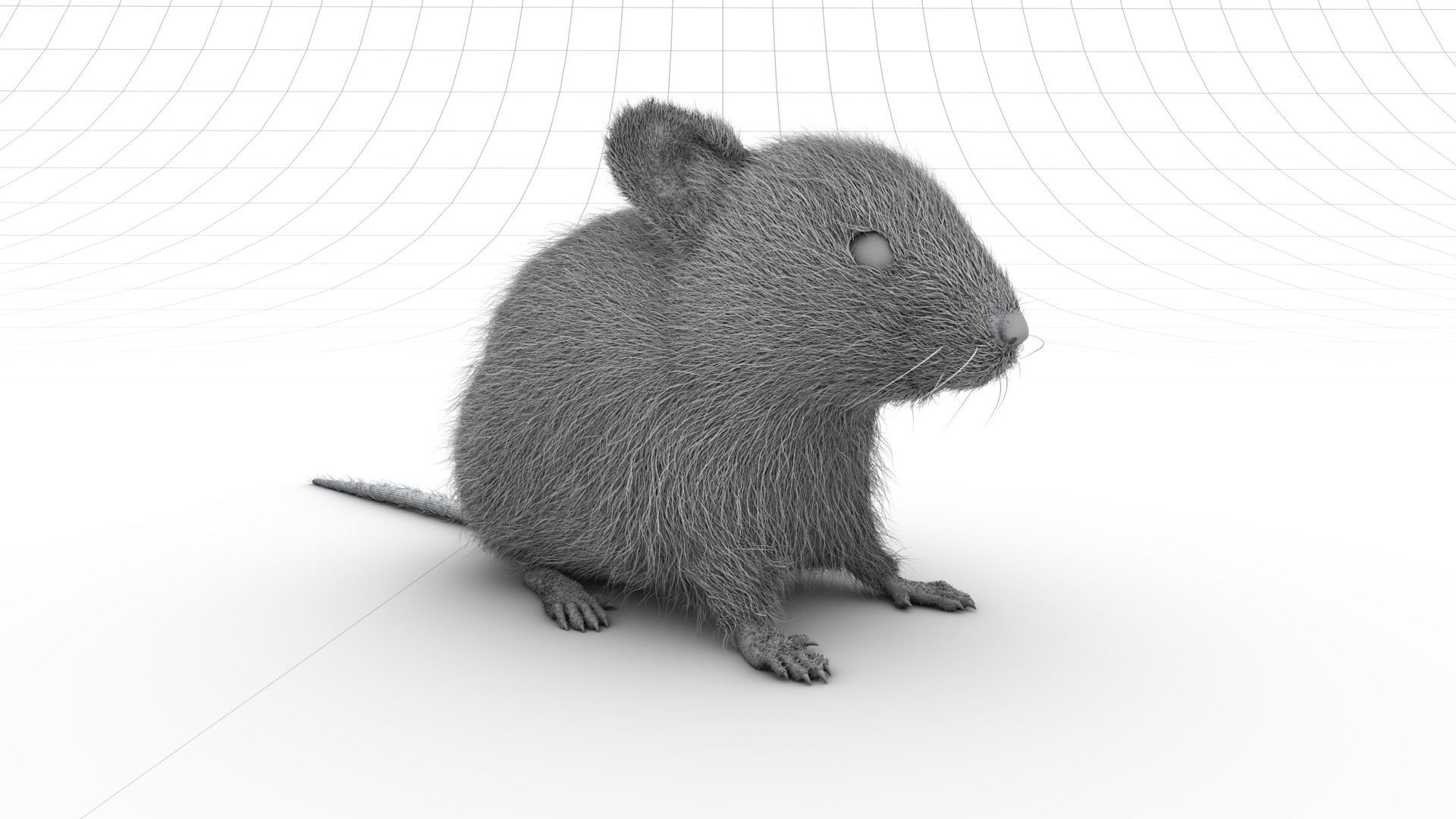 Mouse- realistic style - White fur - rigged Low-poly 3D model_6