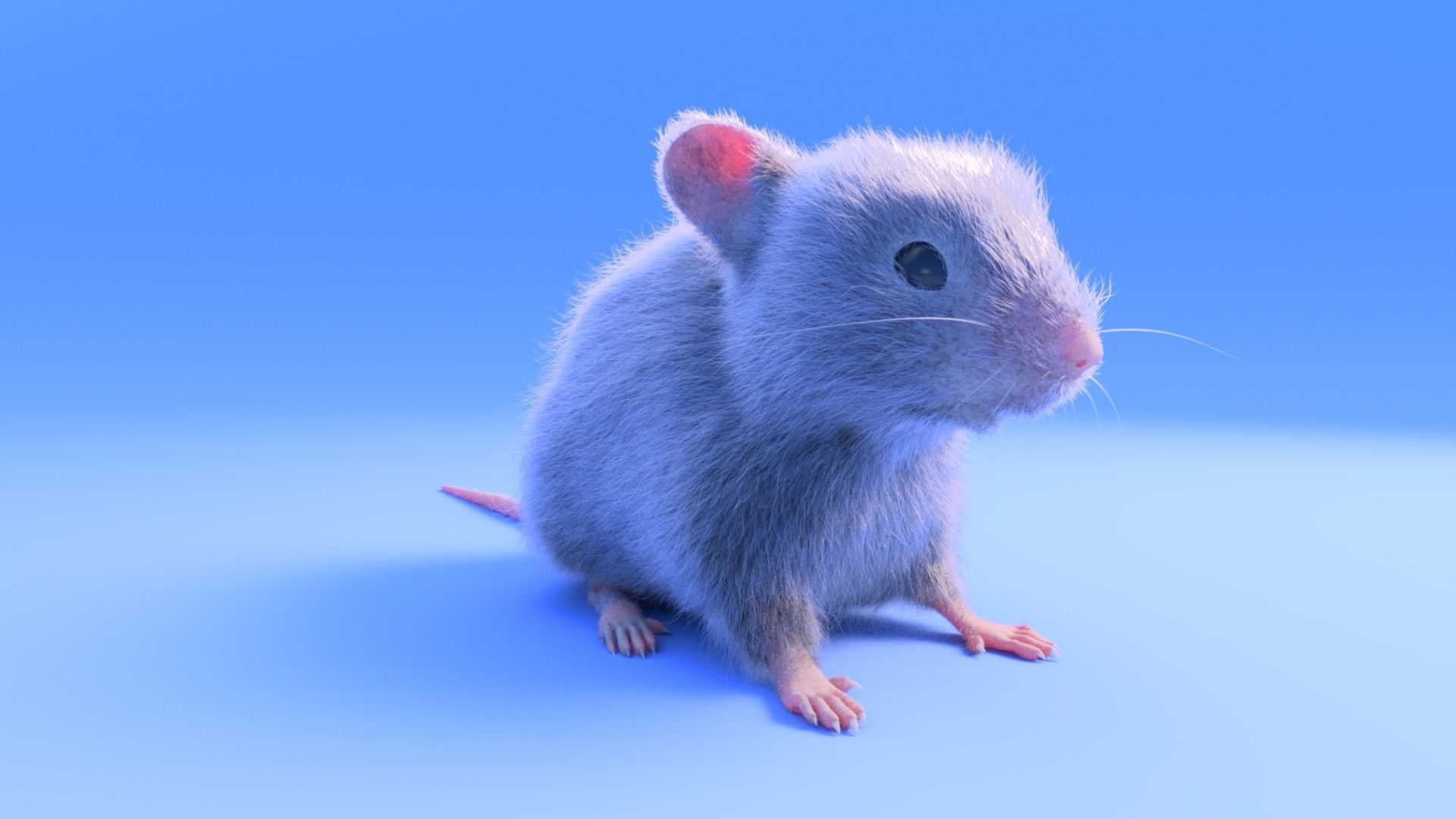 Mouse- realistic style - White fur - rigged Low-poly 3D model_1