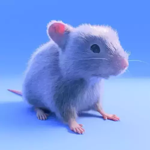 Mouse- realistic style - White fur - rigged Low-poly 3D model
