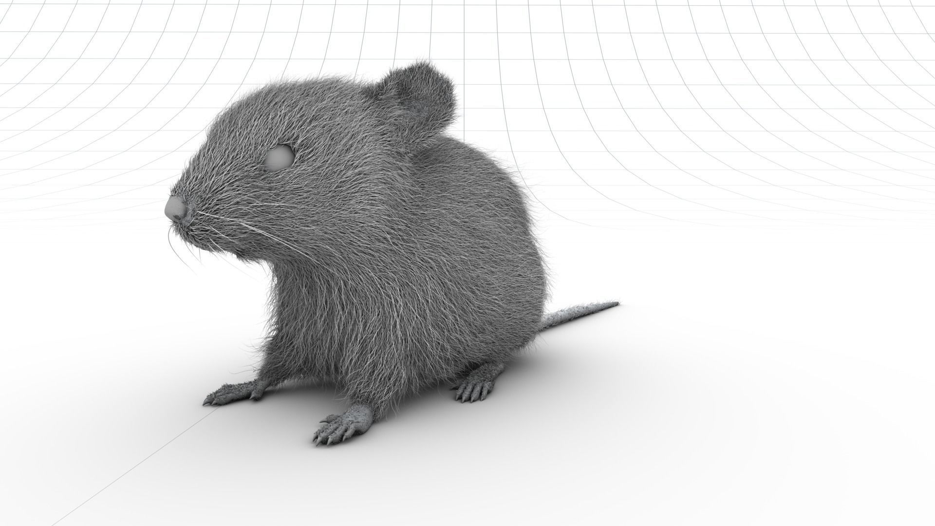 Mouse- realistic style - White fur - rigged Low-poly 3D model_4