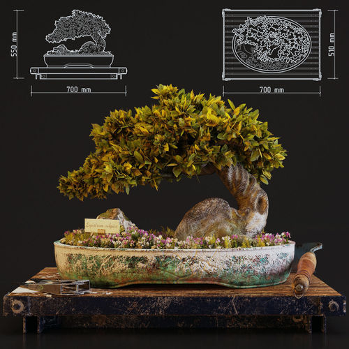 Bonsai 3D model