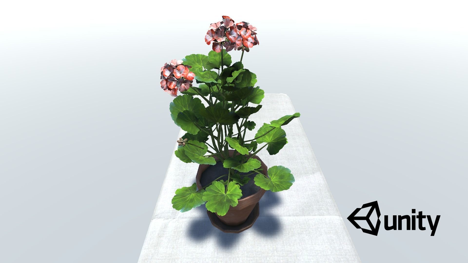 Geranium Flower Low-poly 3D model_8
