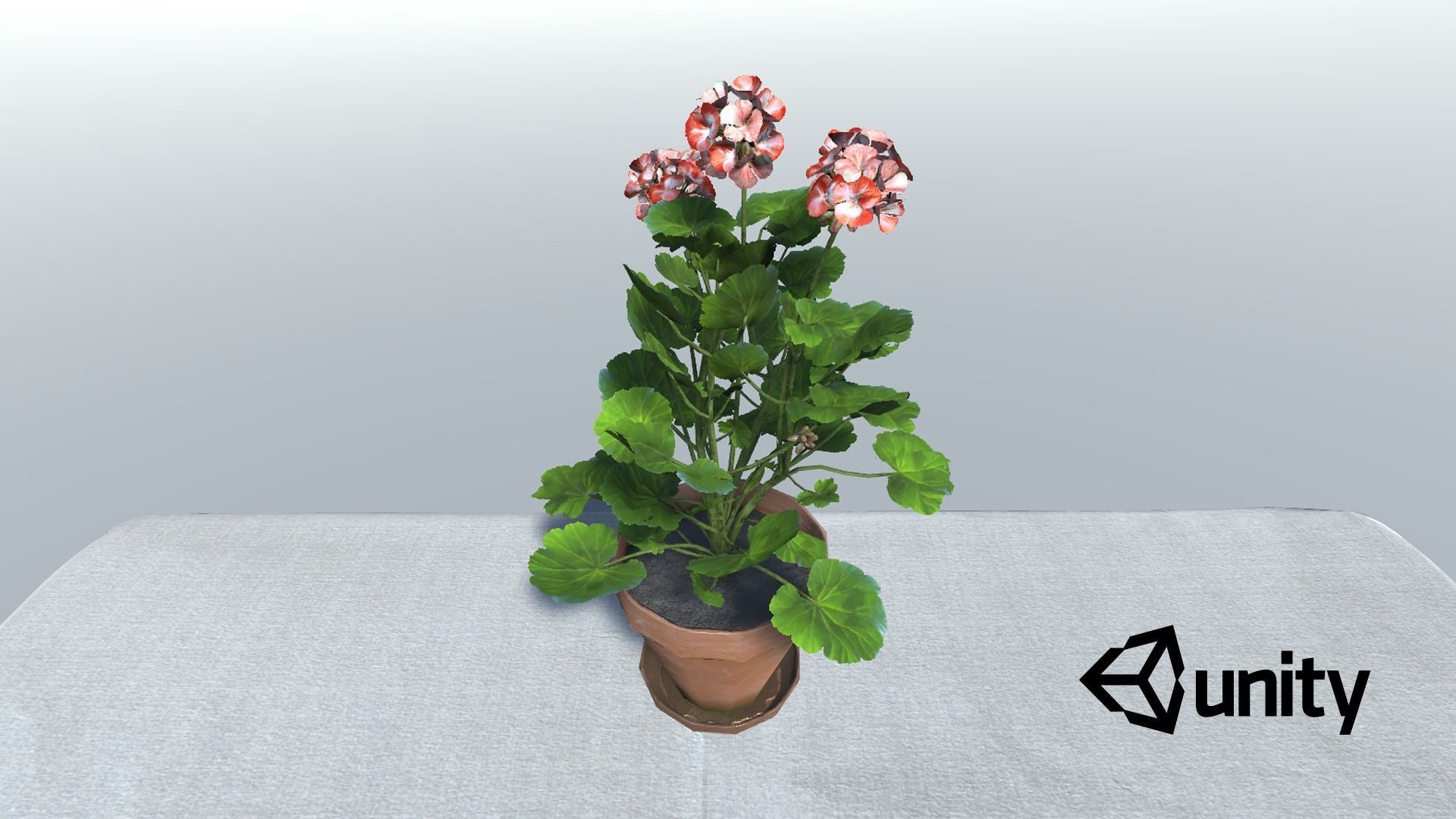Geranium Flower Low-poly 3D model_7