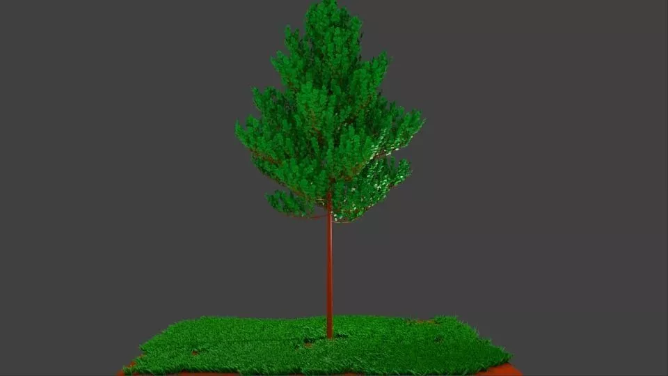 deciduous tree and grass Low-poly 3D model