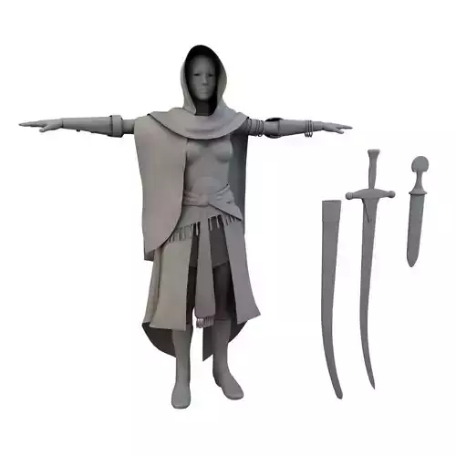 Arabian Secret 3D Woman Costume model