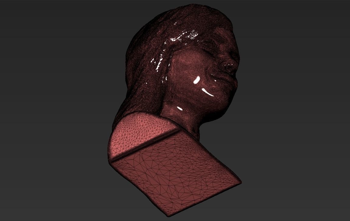 Kylie Jenner bust 3D printing stl obj formats 3D print model_23